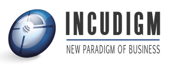 Incudigm Network Logo